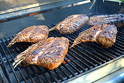 WELCOME TO THE KASBAH